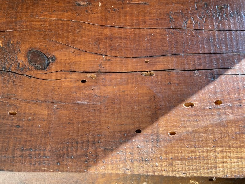 Traitement de charpente par injection pulvérisation a la Garde près du Pradet contre les capricornes