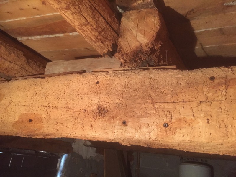 Traitement de charpente par injection pulvérisation a Bormes les Mimosas près du Lavandou