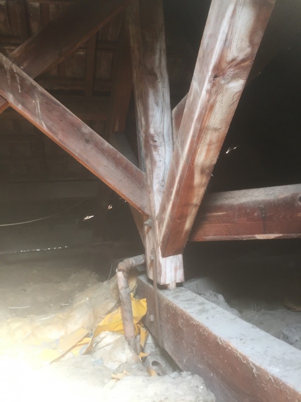 Traitement de charpente a Carqueiranne près du Pradet